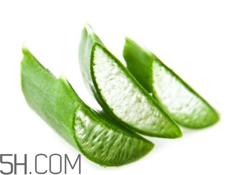 雅麗潔蘆薈膠有激素嗎？雅麗潔蘆薈膠測評