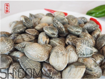 花甲可以冷凍嗎？養花甲鹽和水的比例是多少？