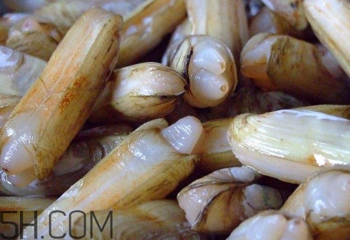 蟶子里面的黑色能吃嗎？蟶子為什么一撒鹽就出來(lái)？