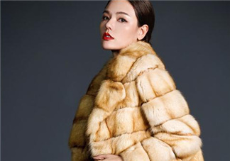 裘皮大衣是什么動物皮？裘皮大衣怎么保養？