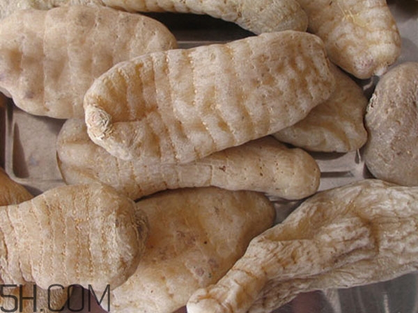 天麻能泡水喝嗎？吃天麻有什么作用？