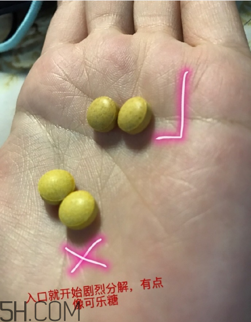 新谷酵素多少錢一盒？新谷酵素真假辨認