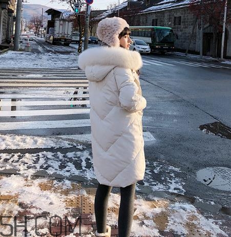 鵝絨羽絨服大概多少錢？白鵝絨羽絨服多少錢一件？