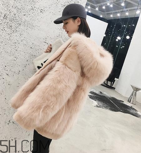 獺兔毛和兔毛哪個好？獺兔毛和兔毛的區(qū)別