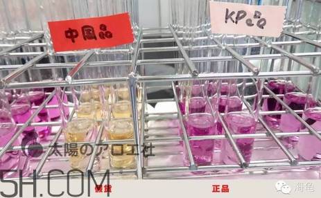 太陽社玻尿酸孕婦能用嗎？怎樣辯別真假太陽社玻尿酸？