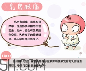 懷孕了應該如何調理？懷孕了如何根據體質調養？