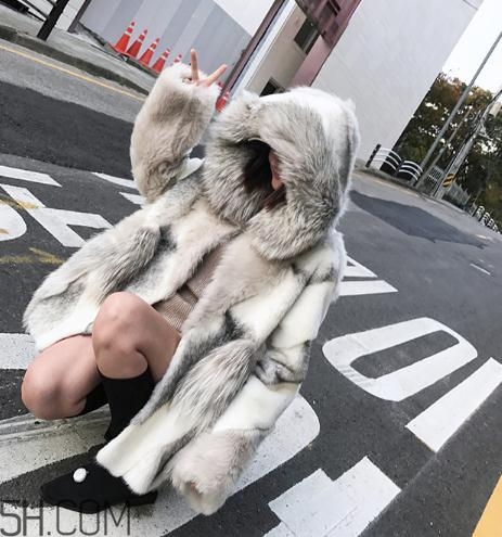 十字貂和水貂哪個好？十字貂和水貂哪個貴？