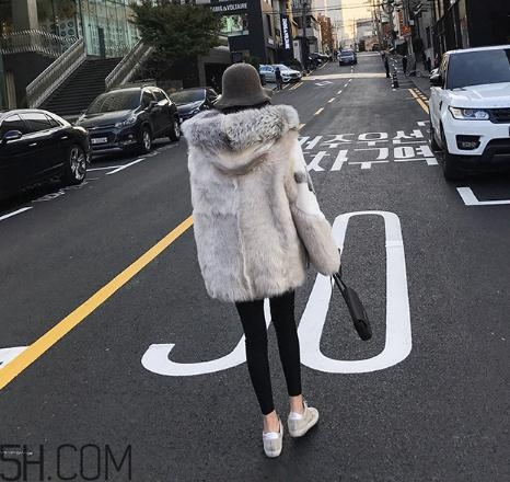 十字貂和水貂哪個好？十字貂和水貂哪個貴？