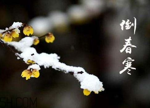 2018年倒春寒是什么時候 2018年倒春寒會持續多久