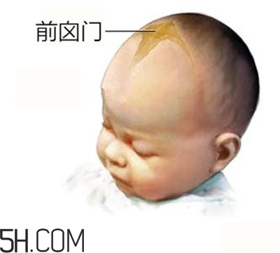 寶寶囟門是怎樣的一個部位？寶寶的囟門要怎樣保護比較好？