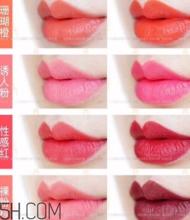 唇膏盤怎么用？口紅盤怎么用法