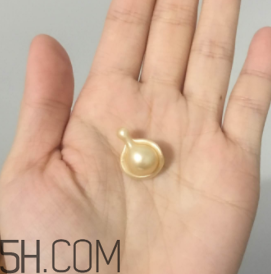 伊麗莎白雅頓精華膠囊適合什么季節用？
