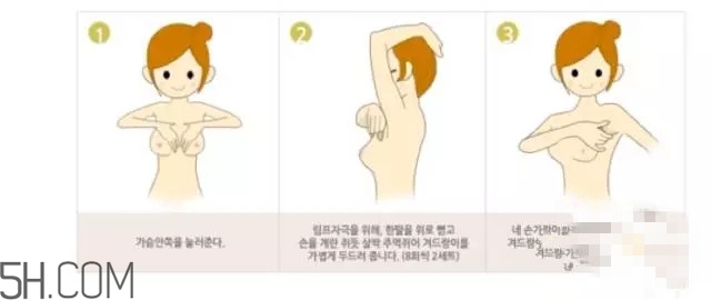 常見的豐胸湯有哪些？女人豐胸湯有哪些？