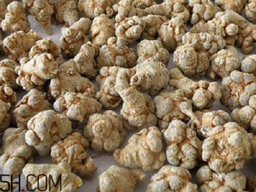 三七粉苦的好還是不苦的好？三七粉越苦越好嗎？