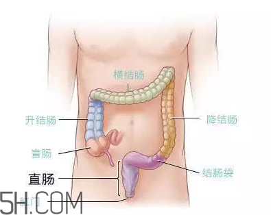 宿便有什么危害？如何清除宿便？