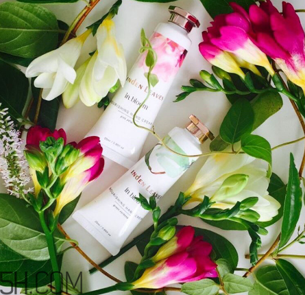 linden leaves香氛護手霜好用嗎？laura ashley護手霜好用嗎？