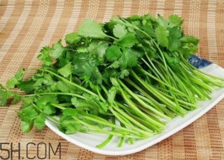 香菜根煮水怎么煮？香菜根煮水喝幾天見效？