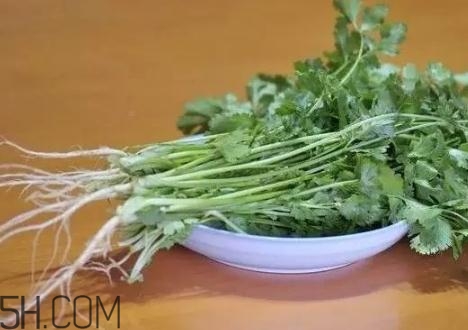 香菜根煮水能減肥嗎？香菜根煮水能天天喝嗎？