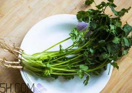 香菜根煮水能減肥嗎？香菜根煮水能天天喝嗎？