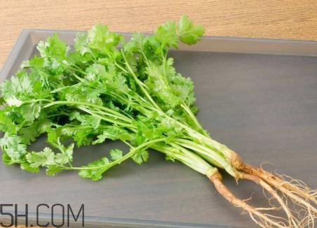 香菜根煮水能美白嗎？香菜根煮水能祛斑嗎？