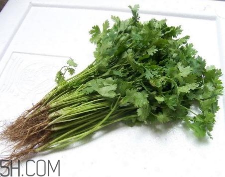 香菜根煮水能美白嗎？香菜根煮水能祛斑嗎？