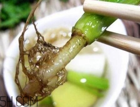 香菜根煮水能美白嗎？香菜根煮水能祛斑嗎？