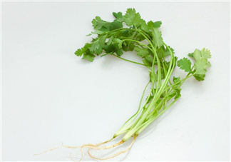 香菜根煮水能治濕疹嗎？香菜根煮水孕婦能喝嗎？