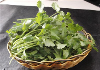 香菜根煮水能減肥嗎？香菜根煮水能天天喝嗎？