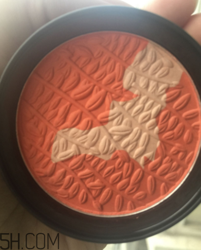 瑪麗黛佳腮紅怎么打？瑪麗黛佳腮紅怎么用？