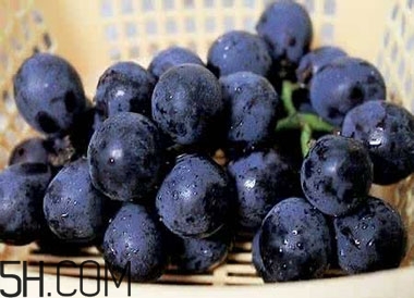 吃黑加侖對(duì)眼睛有什么好處？吃黑加侖要注意什么？