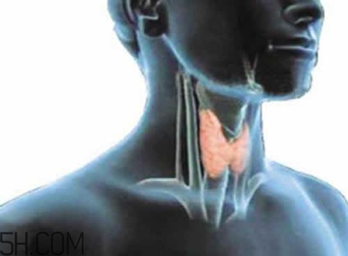 甲狀腺腫大和甲亢的區(qū)別有哪些？甲狀腺腫大適合吃什么食物？