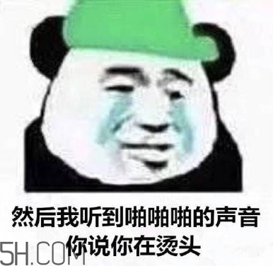 做頭發表情包 我去做頭發了綠帽表情包