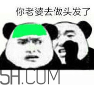 做頭發表情包 我去做頭發了綠帽表情包