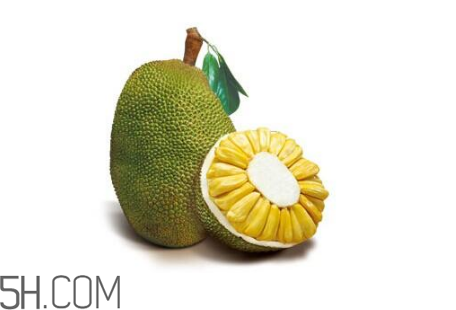 為什么吃菠蘿蜜拉肚子？吃菠蘿蜜拉肚子怎么辦？