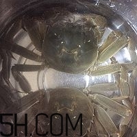 冬天可以吃大閘蟹嗎？冬天怎么吃大閘蟹？