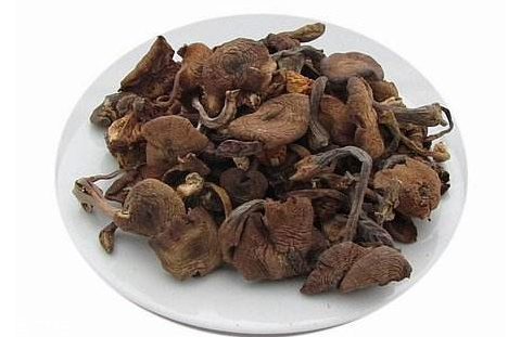 干榛蘑要泡多久 泡發榛蘑小技巧