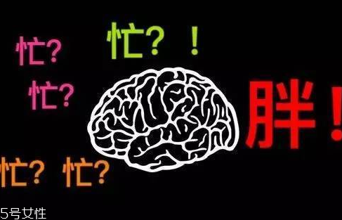久坐不動上班族如何減肥？越努力工作的人越容易發胖