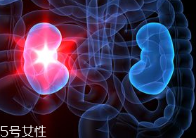 腎病為什么會發展到尿毒癥？這些因素一定要注意