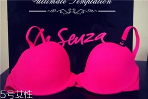 la senza是什么牌子？來自加拿大的頂尖內(nèi)衣