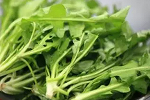 經常用眼吃什么？多吃綠色和黃色食物