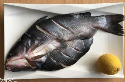 清江魚是什么魚 清江庫區長大的魚