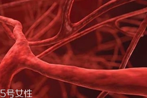 血管塞有什么征兆？這4個現(xiàn)象要警惕