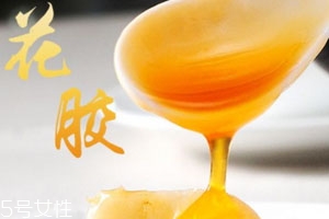 黃花膠和鱈魚膠的區別 品質價格的區別