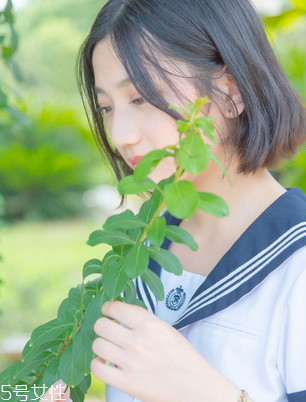 舒爾佳會反彈嗎？減肥不反彈的好方法