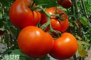 空腹不能吃什么？這4種最好不要吃