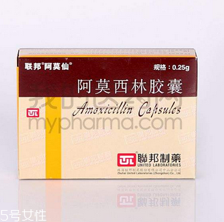 阿莫西林好還是阿奇霉素好？消炎藥哪家強