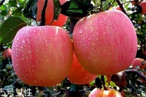 空腹吃蘋果好不好？一天最多吃幾個(gè)蘋果？