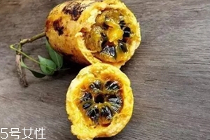 牛卵坨的營養價值 牛卵坨的功效作用