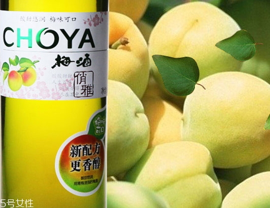 choya梅酒多少錢？多少度？