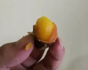 鳳眼果多少錢(qián)一斤？觀賞和口感兼具的鳳眼果